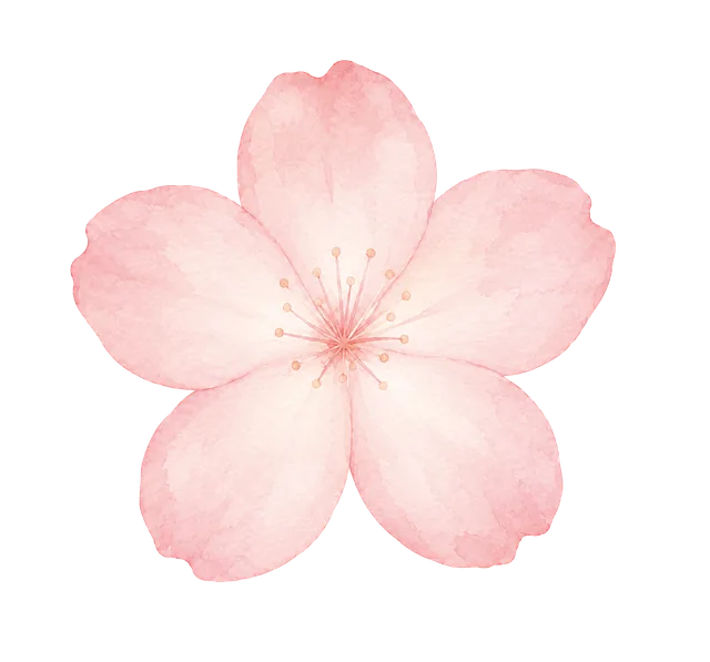 Flor Cerejeira
