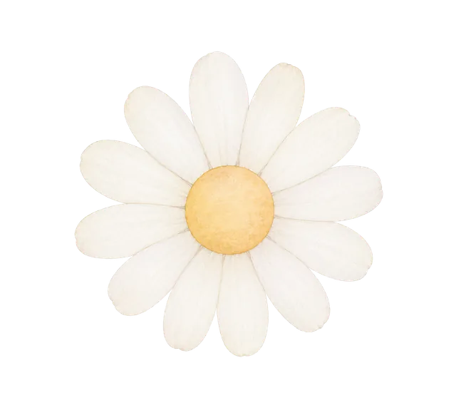 Margarida